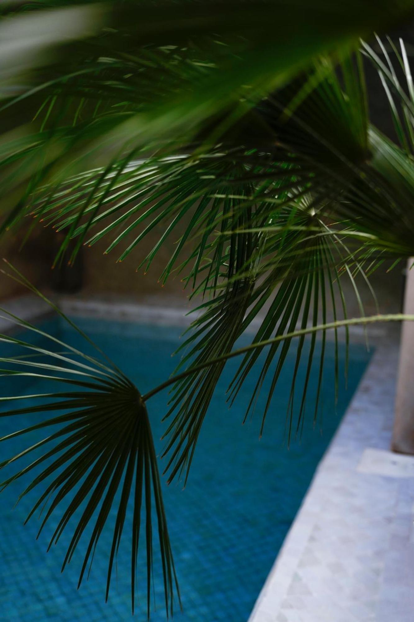Riad Al Massarah Марракеш Экстерьер фото